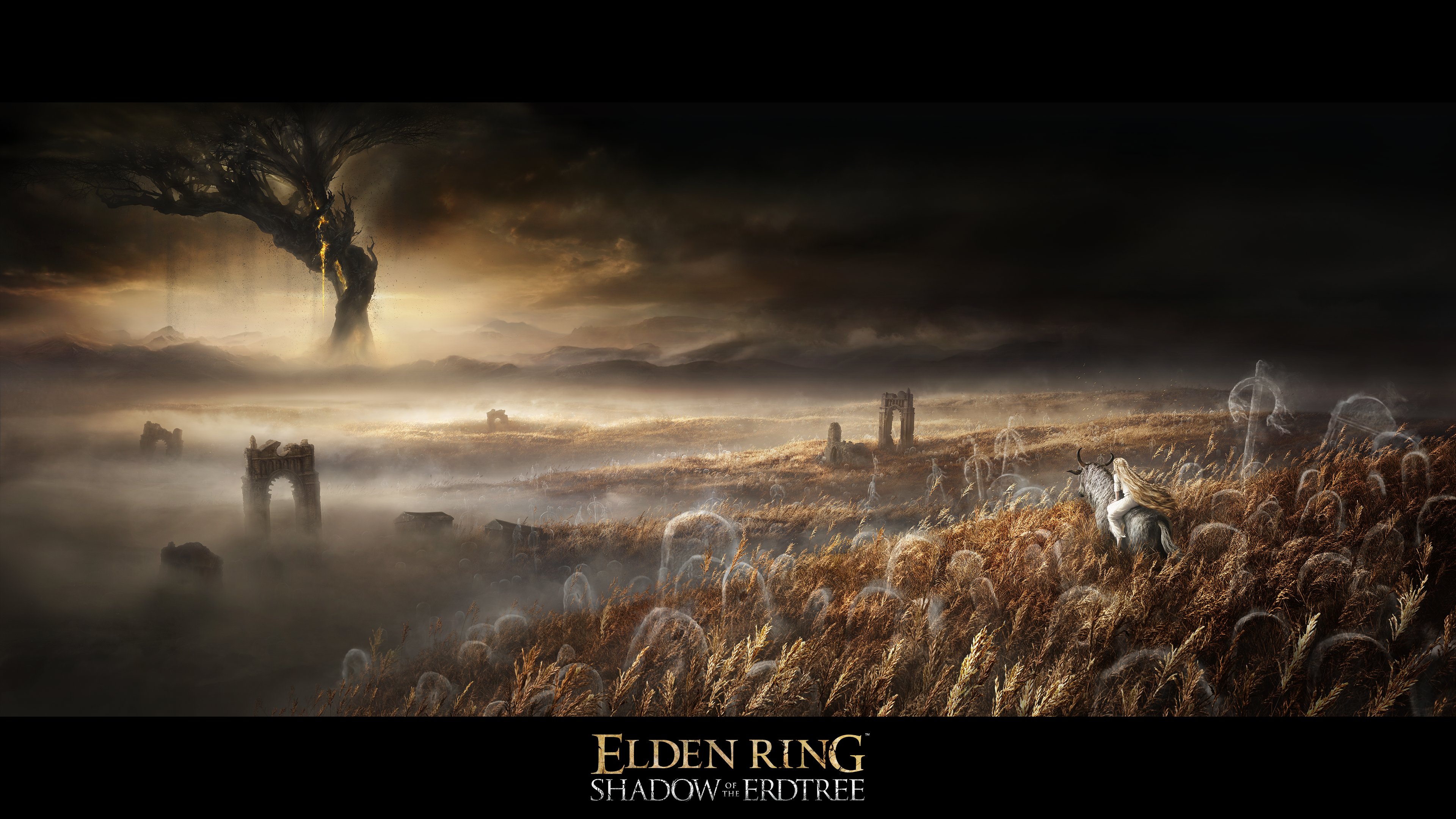 Elden Ring cancelled a season pass to have just one giant DLC expansion claims source