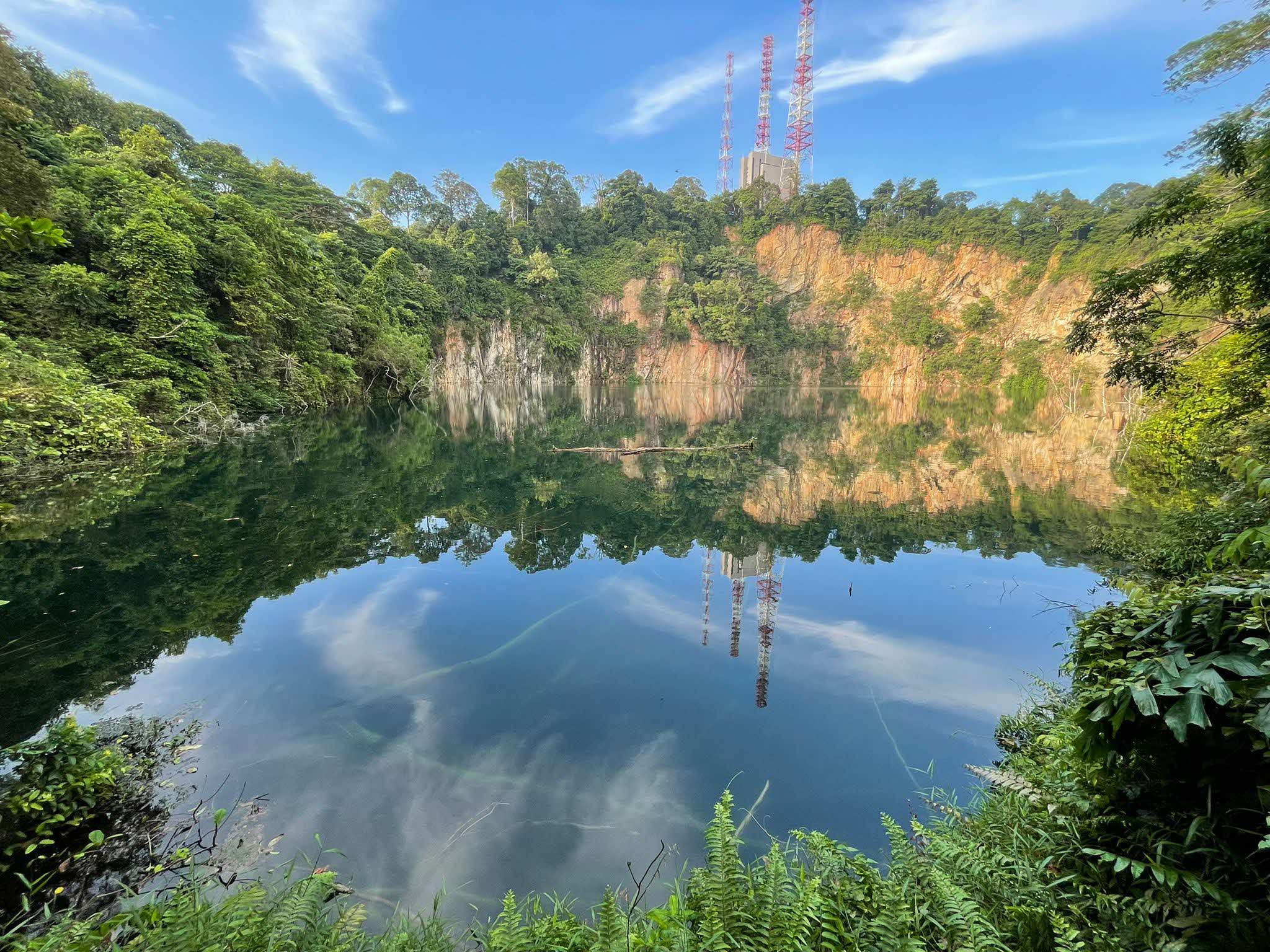 Uncover the Natural Wonders of Bukit Timah Hill & Hindhede Nature Park