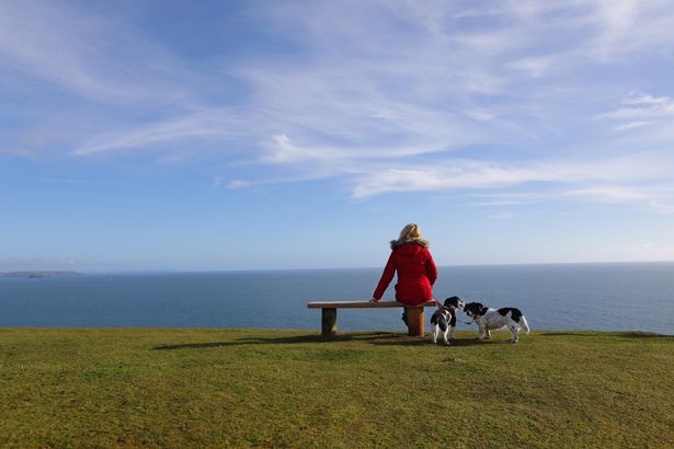 England's best seaside town with the happiest residents - but there's a major drawback