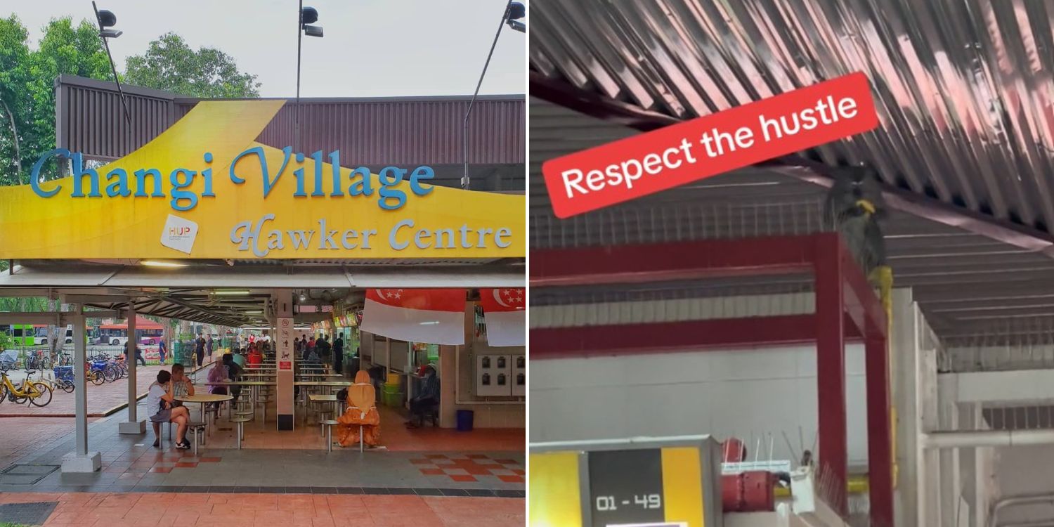 Monkey steals banana from changi village goreng pisang stall while owner serves customers