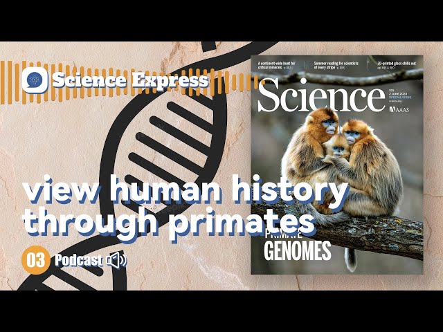 Chinese Scientists Lead Primate Genome Project and Reveal Evolutionary Insights