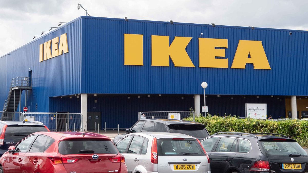 Dog trapped in car at IKEA car park rescued by police who smash window in 29C heat