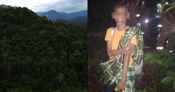 M'sian Escapes To The Jungle Due To Work Stress. He Called For Help 6 Days Later