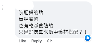 【内有影片】不恶心咩？男子晒影片吃「蟑螂煎蛋」吓傻网友！还亲爆蟑螂的口感！