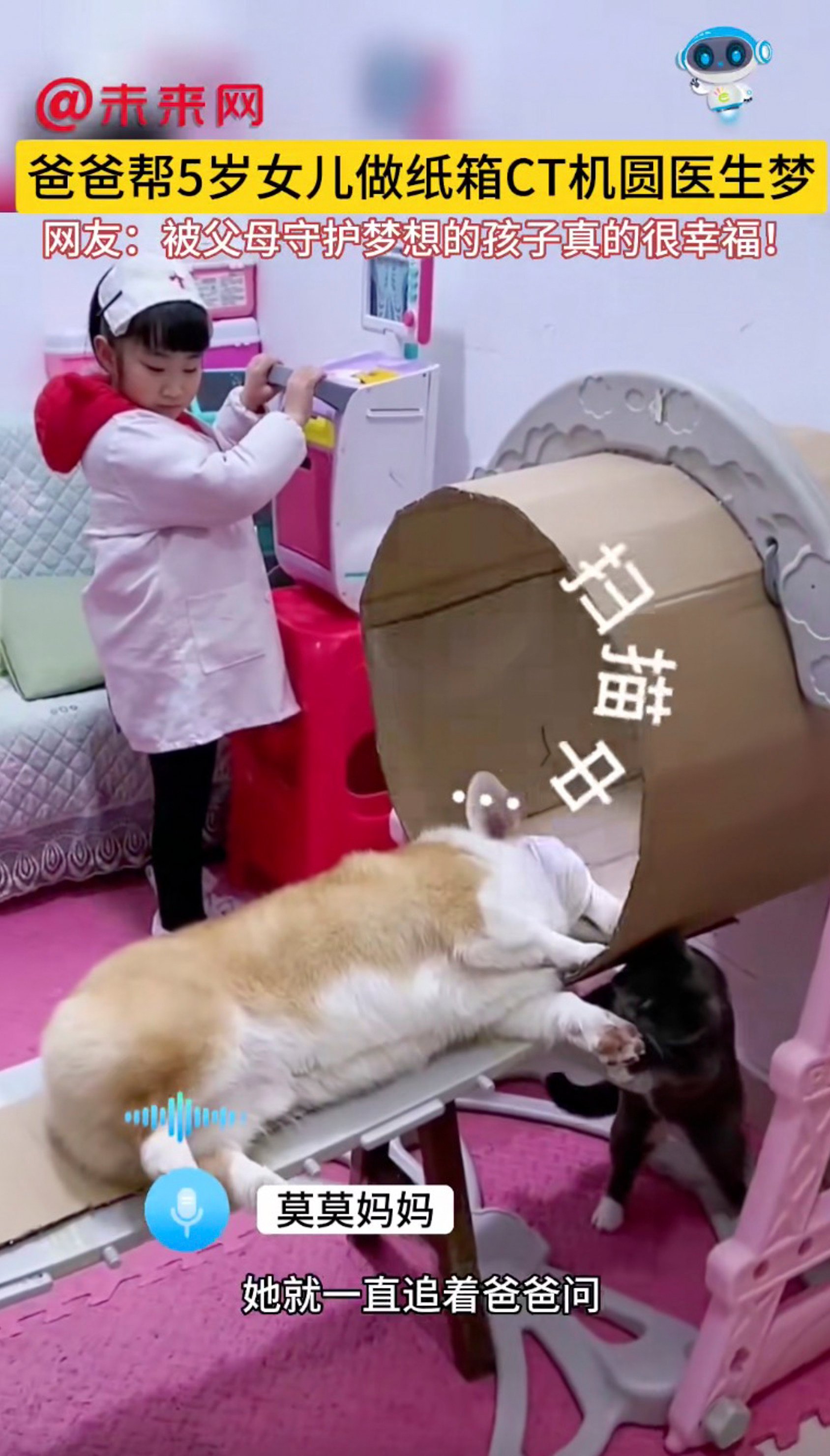 Dog patient, cat nurse: Chinese girl plays doctor giving corgi CT scan with cardboard machine made by father, delighting social media