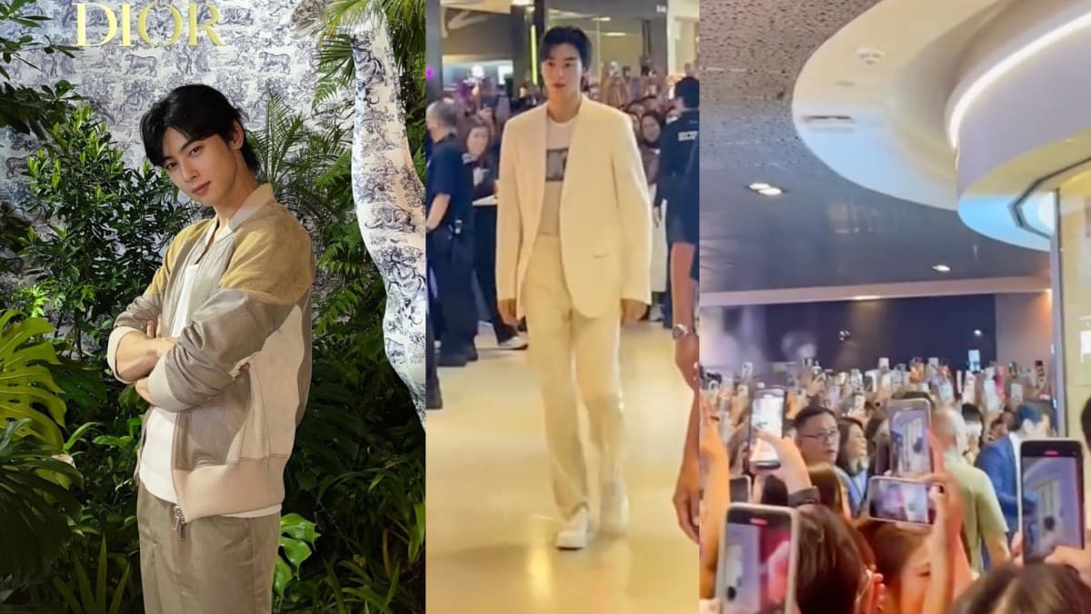 “We Waited For 2 Hours Just To See Him For 3 Secs”: Singaporeans Flock To Ion Orchard To See Cha Eun Woo