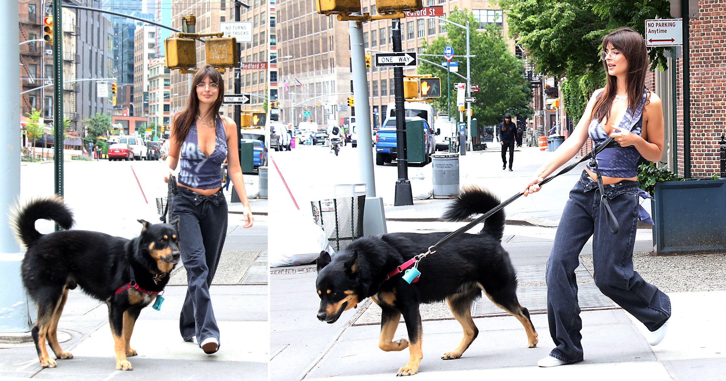 Emily Ratajkowski’s massive dog takes her for a walk as the pair hit the streets of New York