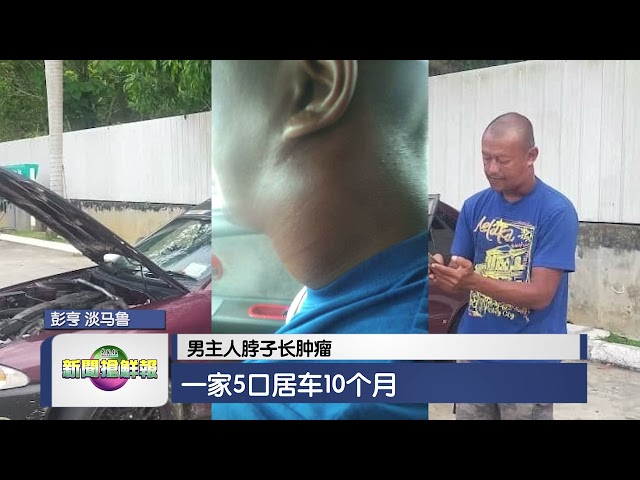 【大闹槟城督坤山  野猴攻击爬山客】