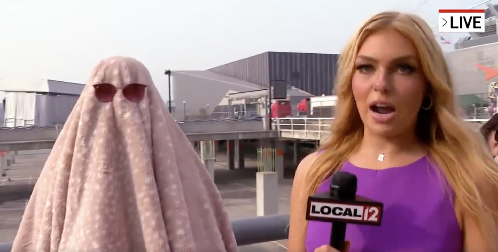 Woman rocks up to concert in disguise because she called in sick for work