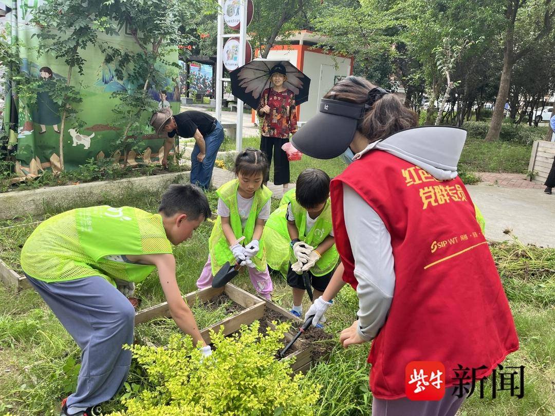 激发居民自治，凝聚多方力量！苏州工业园区唯亭街道共建共享花圃，构建七彩社区