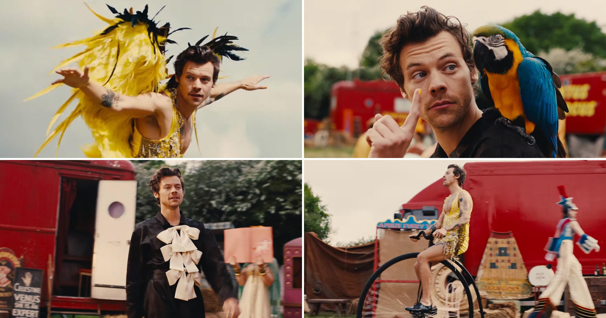Harry Styles joins the circus in brand new music video and fans are in love