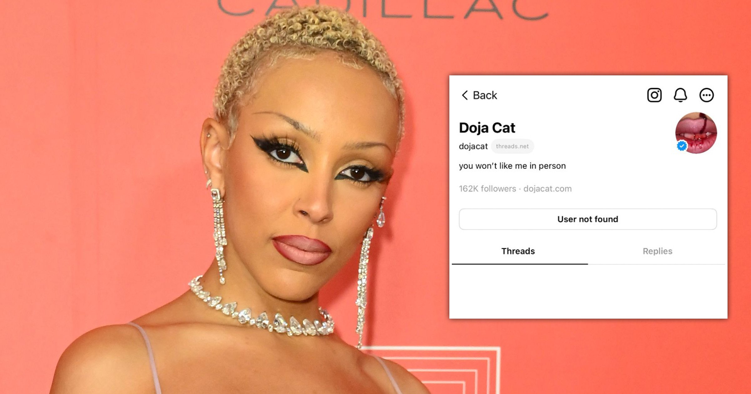Doja Cat loses over 200k followers in 24 hours after dissing fans
