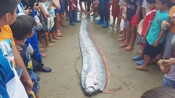 Horror as 'earthquake omen' fish washes up on beach leaving locals terrified