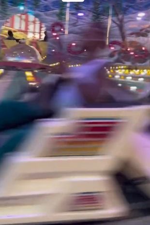 Theme park-goers left spinning out of control after ride gets stuck in reverse