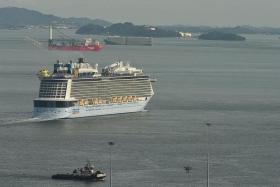 Passenger missing after falling overboard cruise ship Spectrum of the Seas