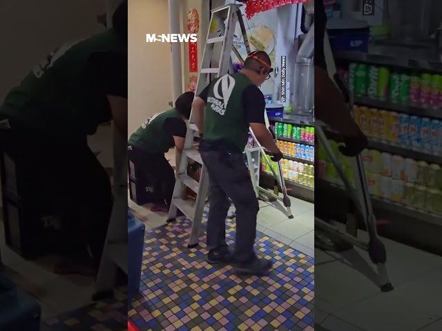 3M-Long Python Extracted From Coffee Shop's Signboard