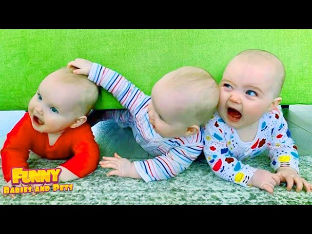 Funniest Siblings and Triplets Compilation of 2023 - Funny Baby and Pets