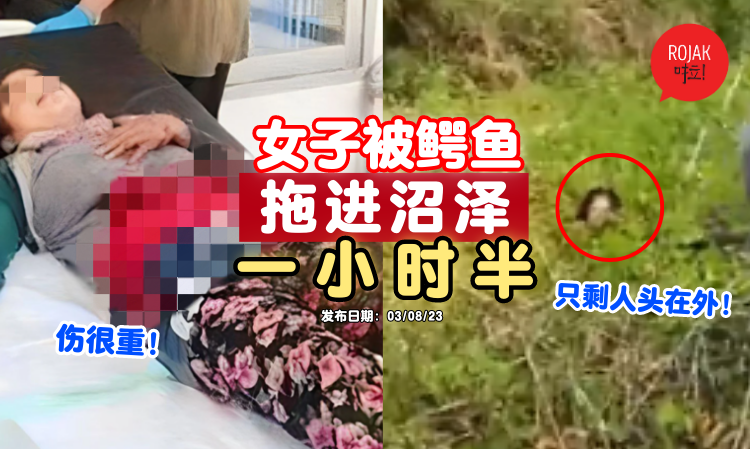 惊悚救援画面曝光！女子惨被鳄鱼拖进沼泽「90分钟」⚡ 只剩人头在外面！（内有视频）