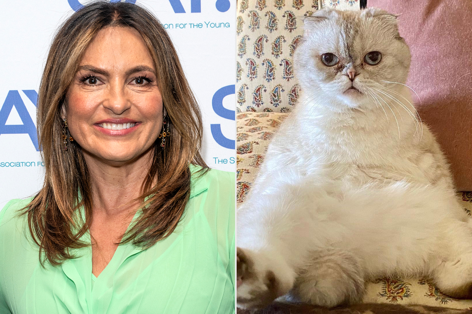 Olivia Benson actress attends Olivia Benson the cat owner's concert