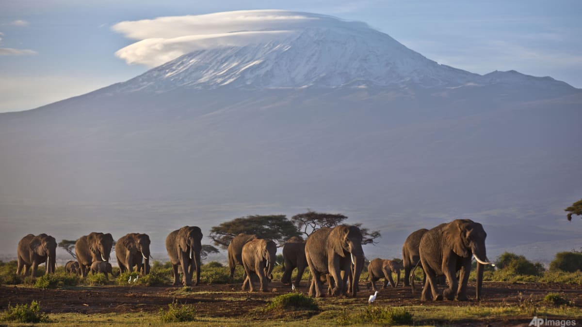 Singaporean climber dies during Mount Kilimanjaro climb