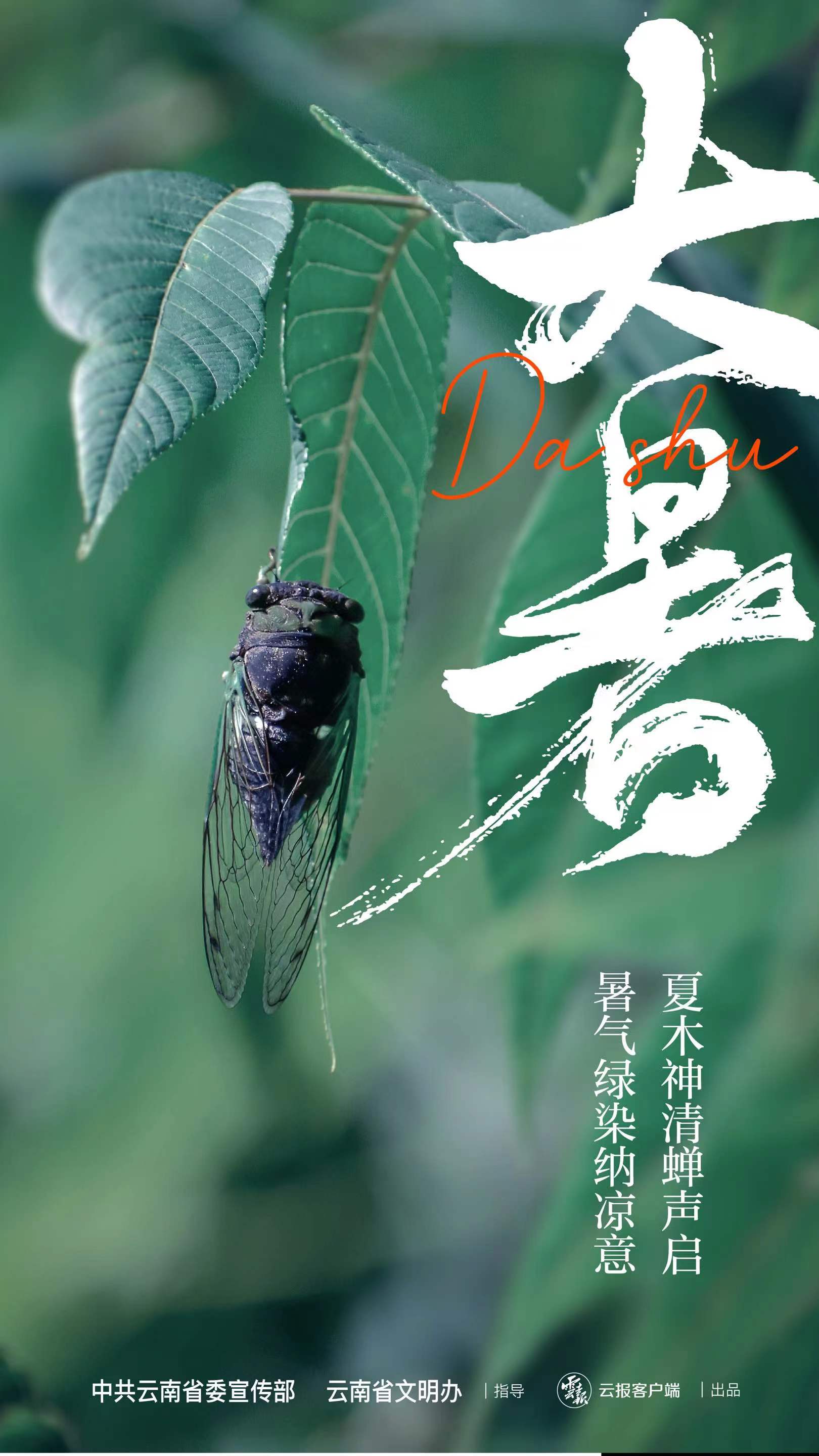 今日大暑丨暑气炎蒸 流萤悄飞
