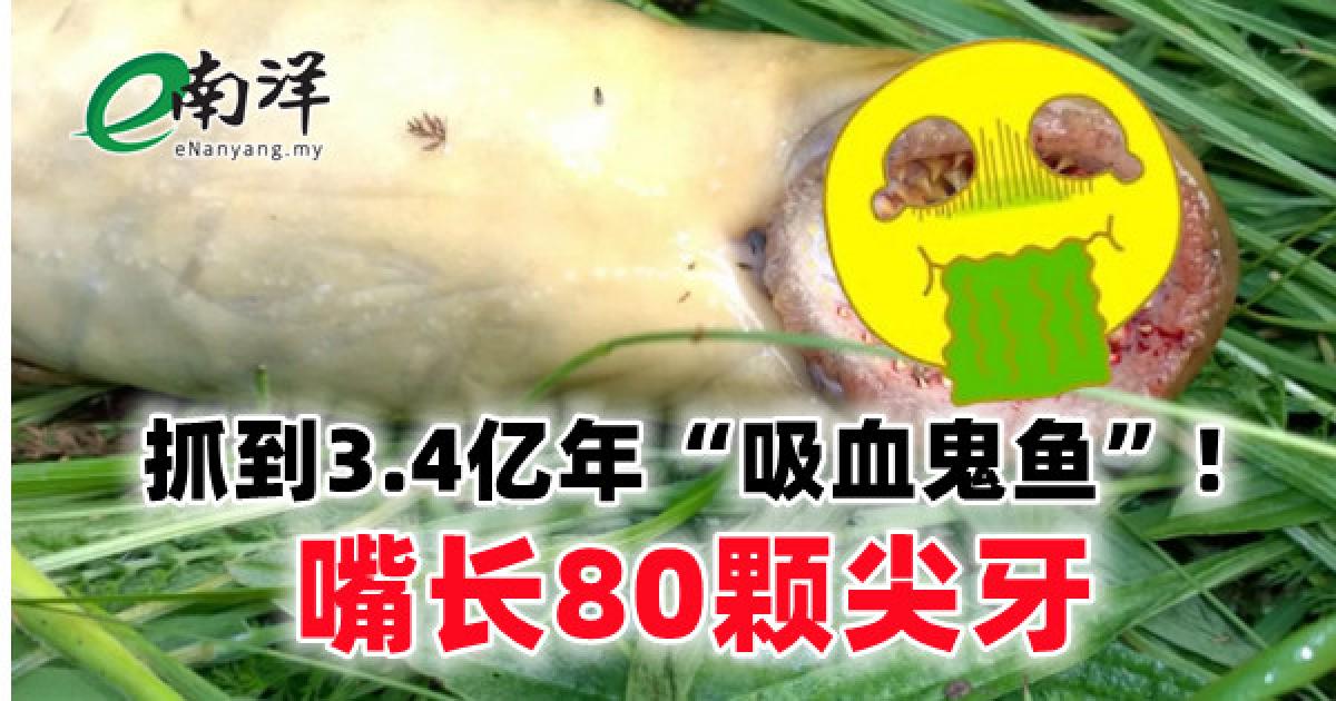 抓到3.4亿年“吸血鬼鱼”! 嘴长80颗尖牙