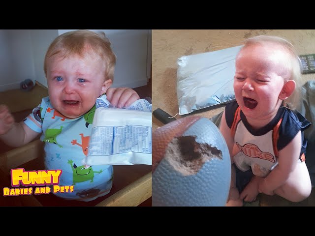 Top Funniest Moments of Cute Baby | Funny Babies And Pets