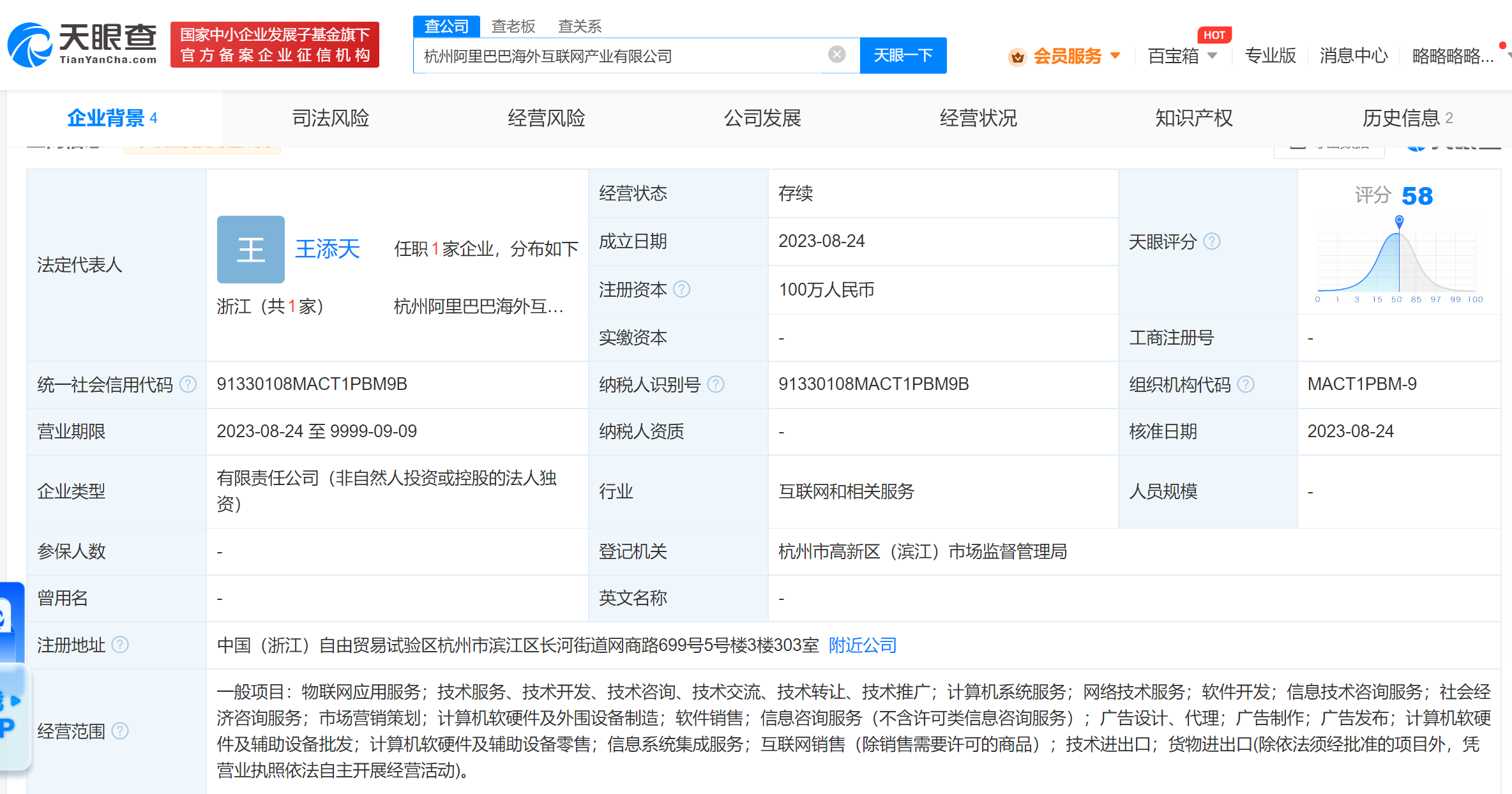 阿里成立海外互联网产业公司