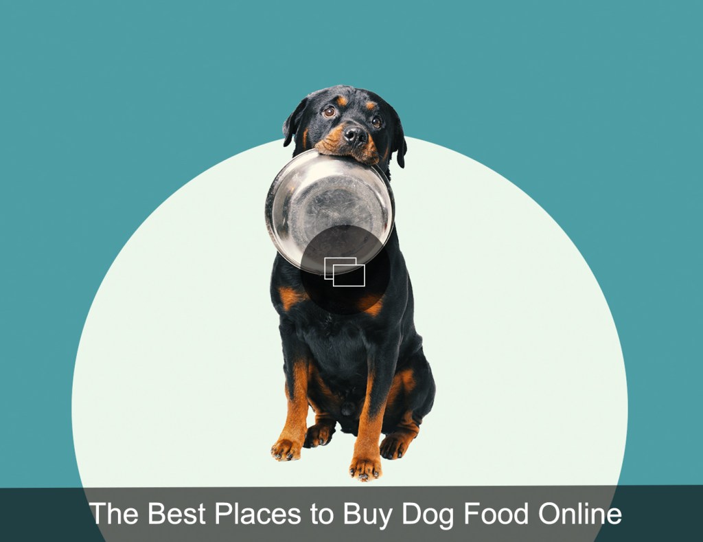 The Most Worth-It Dog Subscription Boxes That’ll Keep Your Pup Entertained Until Their Next Delivery