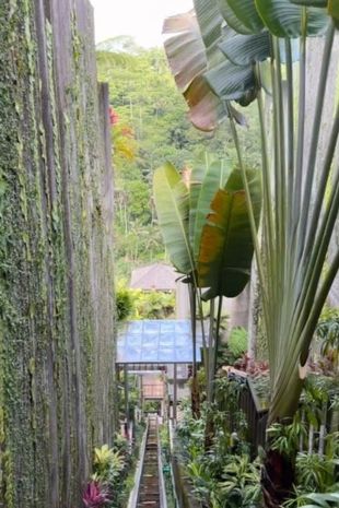 Bali elevator crash: Five killed at popular resort after lift cable snaps over 300ft drop