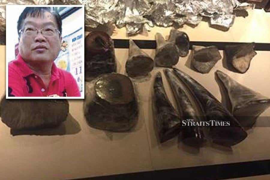 Msian wildlife smuggler jailed 18 months in US for trafficking in rhinoceros horns