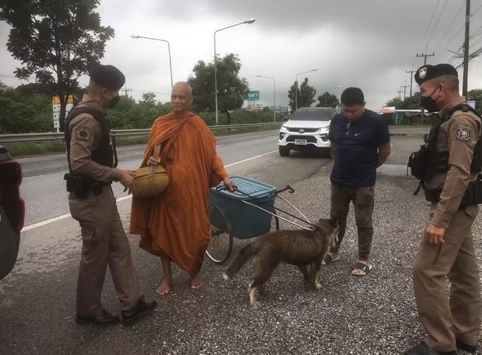 紧勒狗或猪脖子拉供品车 泰国假和尚涉虐畜被捕