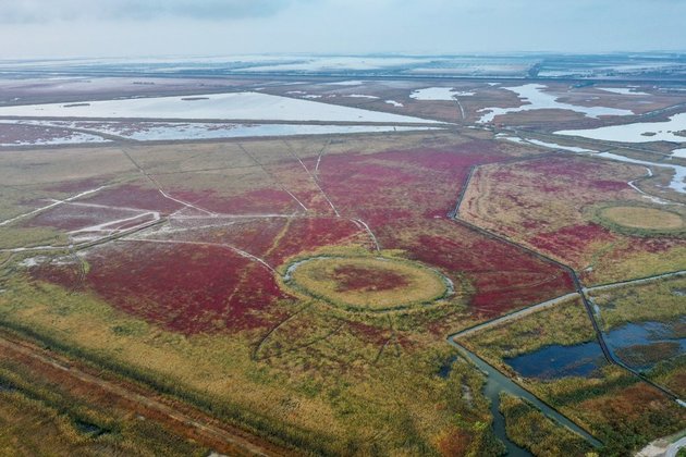 Yancheng's green transformation acclaimed at World Coastal Forum