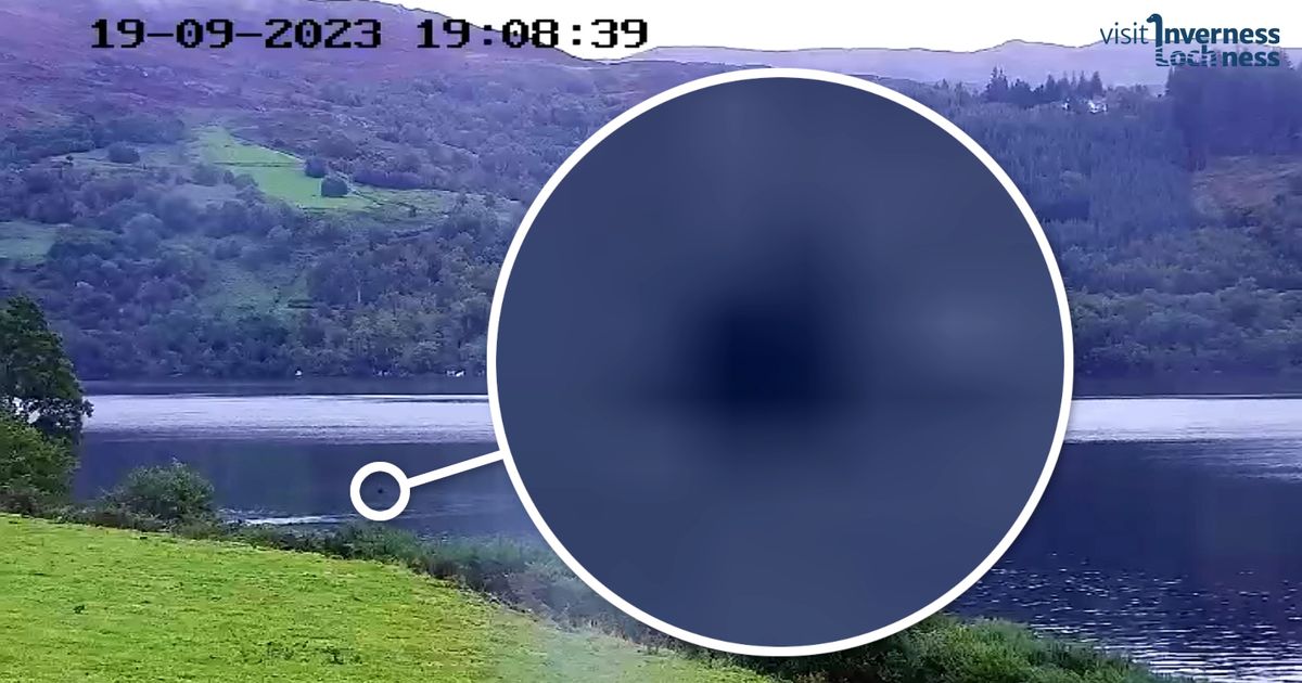 Loch Ness Monster expert claims he has video of baby Nessie poking head above water