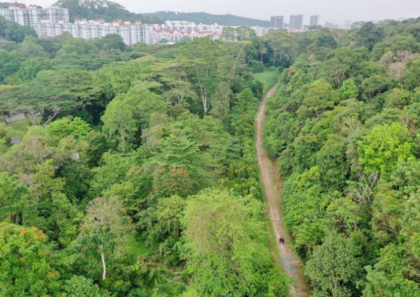 Choa Chu Kang BTO flats launch in October: What it means to you