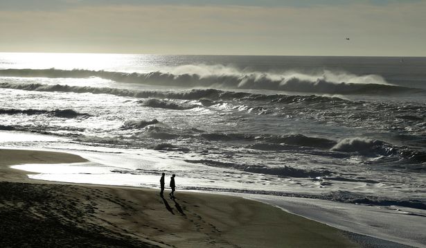 Man mauled to death by shark in 'strange and rare' California attack day after wedding