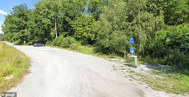 Swedish girl, 16, and brothers 'lured taxi driver, 26, into the woods before hanging him in revenge for raping her'