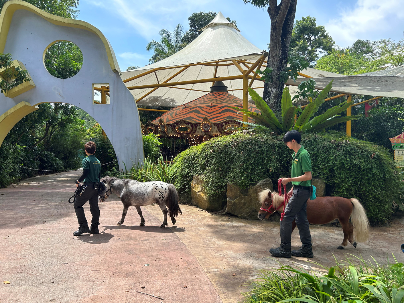 KidzWorld opens in the Singapore Zoo with a petting zoo and water maze