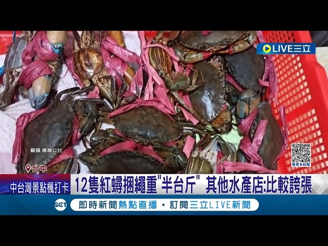 12只红蟳捆绳重"半台斤" 其他水产店:比较夸张 买蟹"眉角"要注意! 水产店:一般以只数计价｜记者 孙宇莉 邱瑞扬｜【消费报你知】20231030｜三立新闻台