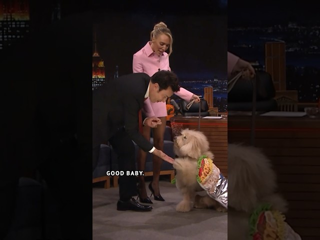 #AlexCooper brought her dog who dressed up as a burrito for Halloween!  #JimmyFallon #FallonTonight