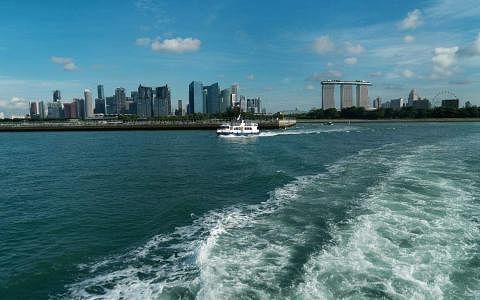 研究：多年对抗海平面上升 加冷盆地海岸具韧性向外延