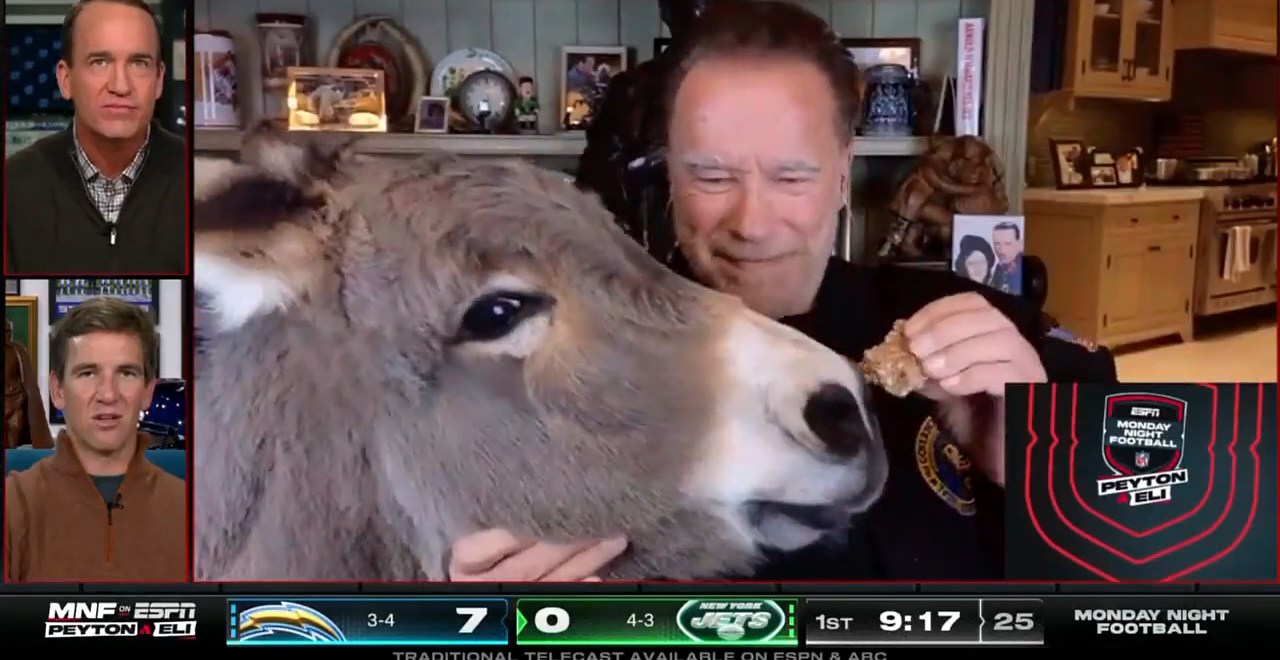 Arnold Schwarzenegger Fed A Donkey During His ManningCast Appearance