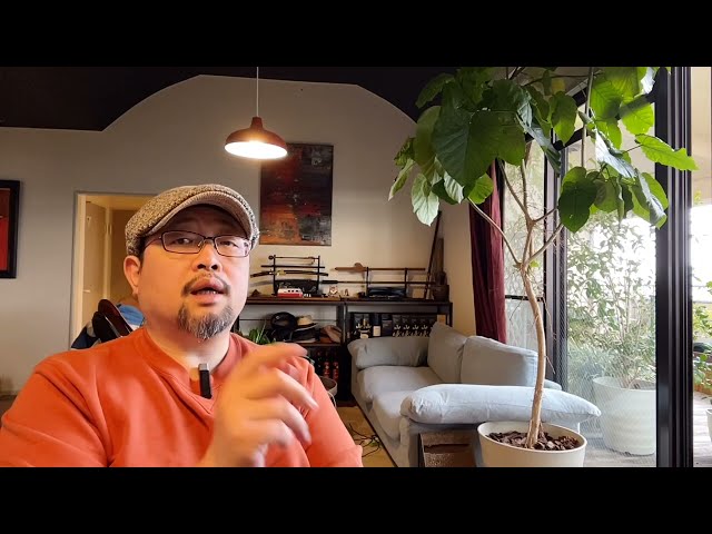 给房地产公司“无抵押贷款”，中国的银行真的会遵从这种“乱命”么？