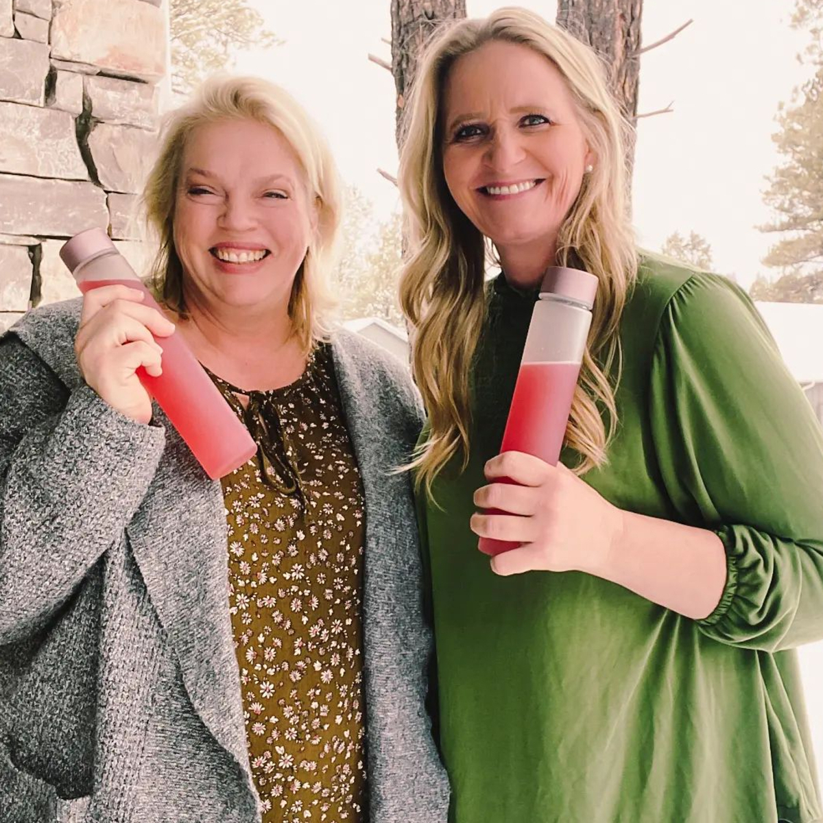 Sister Wives’ Christine and Janelle Brown Share Their Hopes for a Relationship With Kody and Robyn