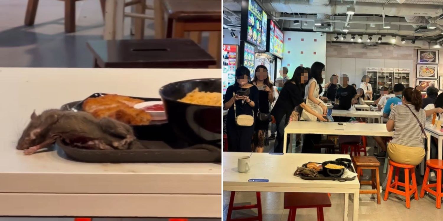Rat seemingly passed out on tray at tangs food court, diners stare & keep eating