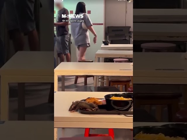 Rat Seemingly Passed Out On Tray At Tangs Food Court