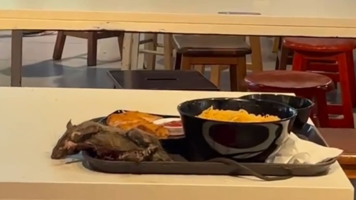 SFA investigating video of twitching rat on food tray at Tangs Market food court on Orchard Road