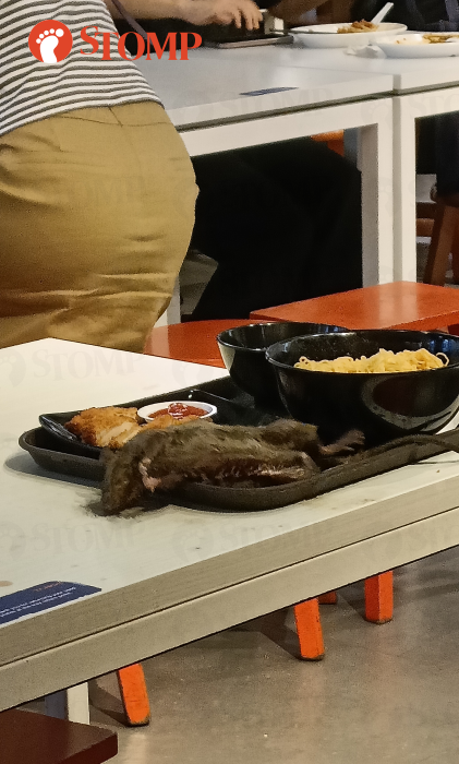 Rat infestation and 5 stalls with hygiene lapses found at Tangs Market after inspections by SFA, NEA