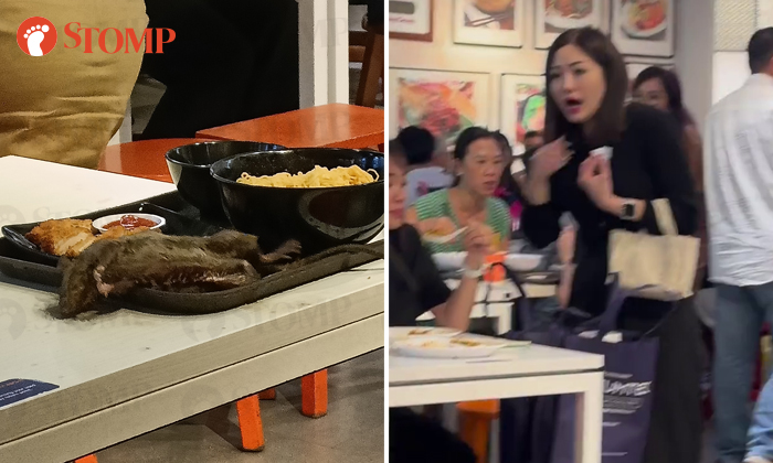 Tangs Market closes on Nov 30 for deep cleaning after rat falls from ceiling and onto food