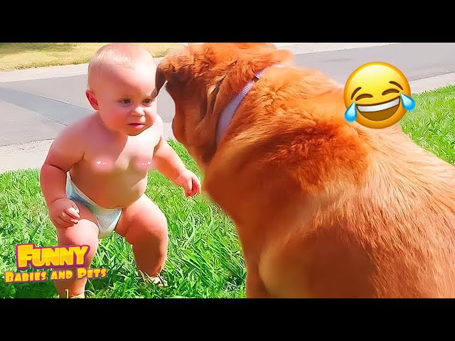 Baby and Dog Growing Up Together #3 😍 Cute Moments of Babies Playing with Dogs